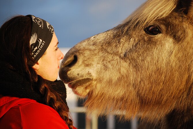 Icelandic Horse Riding and Whale Watching Tour From Reykjavik - Meeting Point and Start Time