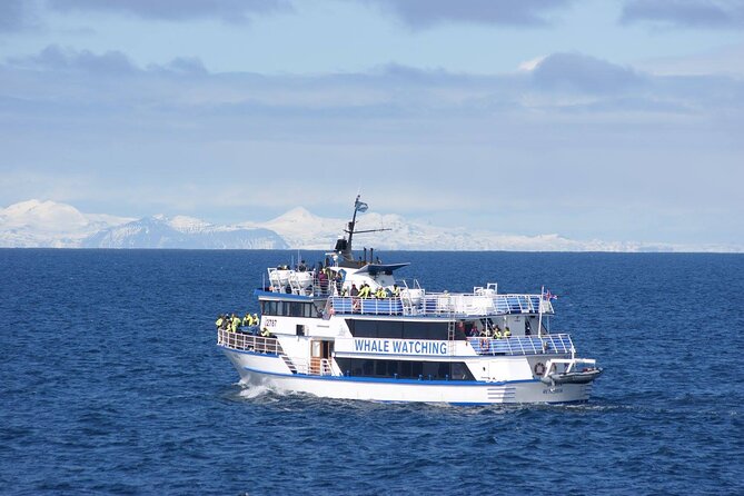 Icelandic Horse Riding and Whale Watching Tour From Reykjavik - Reviews