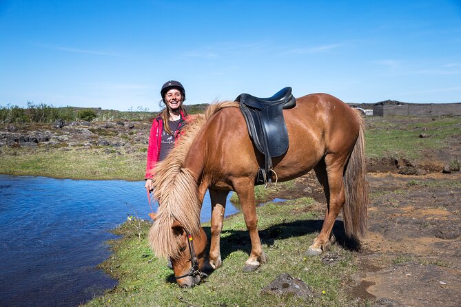 Icelandic Horse Riding and Whale Watching Tour From Reykjavik - Scenic Panoramic Views