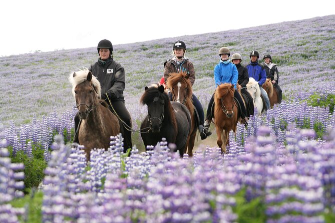 Icelandic Horseback Riding Tour From Reykjavik - Age and Weight Limits
