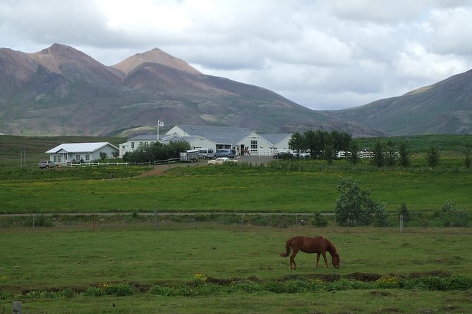 Icelandic Horseback Riding Tour Including Pick up From Reykjavik - Inclusions