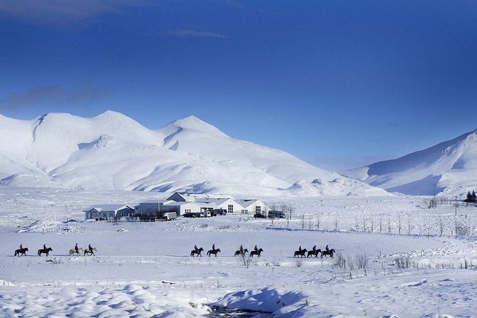 Icelandic Horseback Riding Tour Including Pick up From Reykjavik - Confirmation and Cancellation