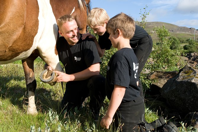 Icelandic Horseback Riding Tour Including Pick up From Reykjavik - Icelandic Horses