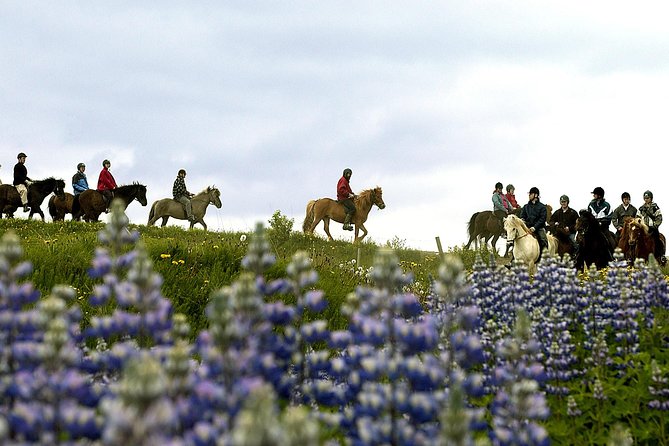 Icelandic Horseback Riding Tour Including Pick up From Reykjavik - Countryside Scenery