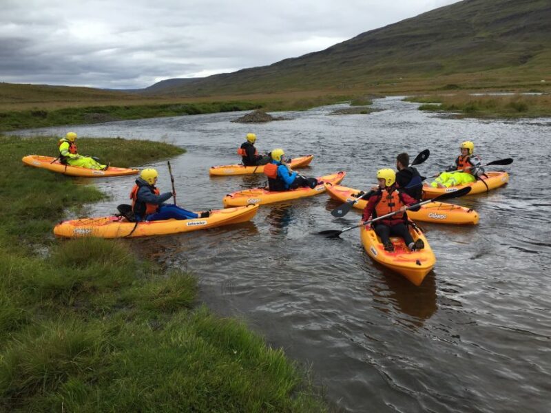 Icelandic Kayak Trip - Experience Highlights