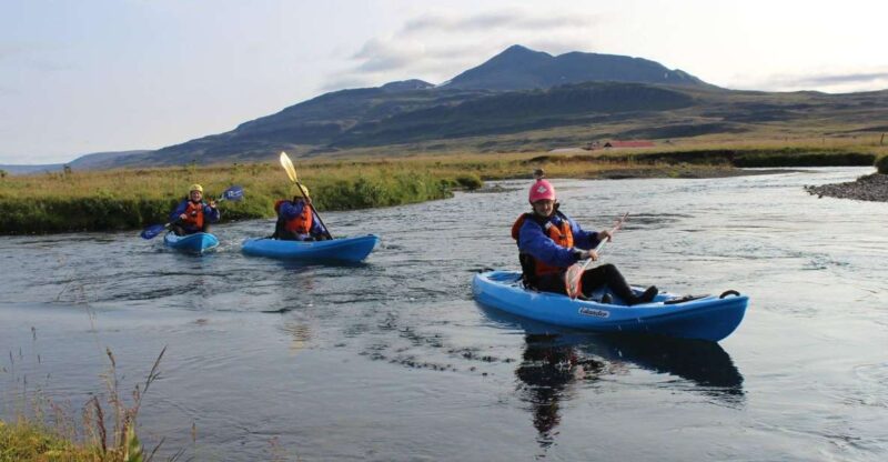 Icelandic Kayak Trip - Birdlife Observation