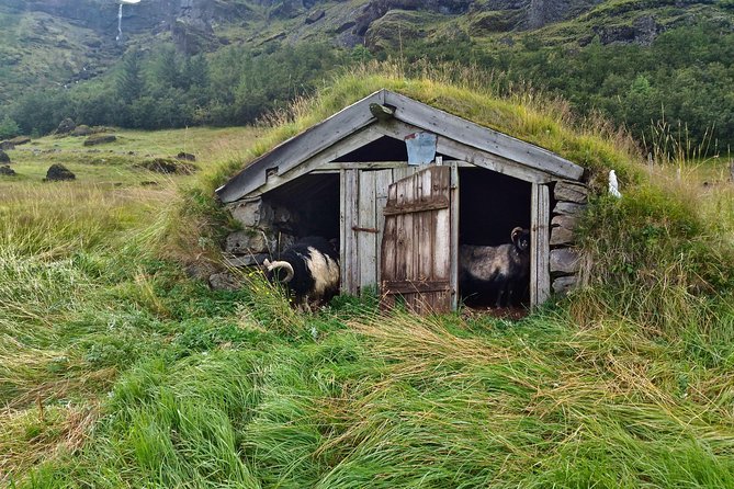 Icelands South Coast G Spots - Knowledgeable and Tailored Experiences