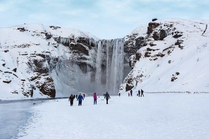 Icelands South Coast & Northern Lights Day Trip From Reykjavik - Tour Highlights