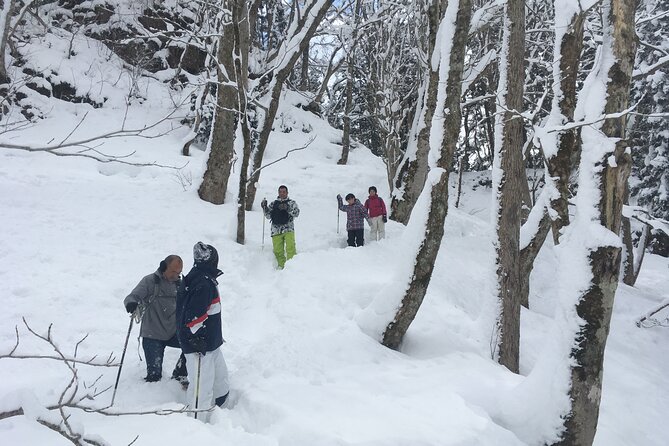 Icicle Trekking Nishiwaga Town, Iwate Prefecture - Meeting and Pickup