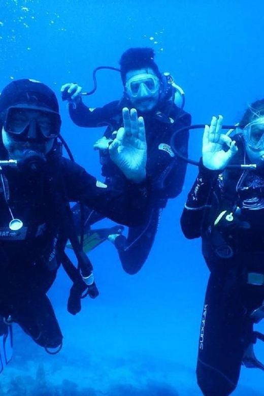 Icmeler: Scuba Diving With a Qualified Instructor - Dive Experience