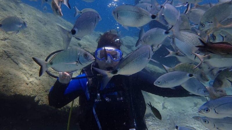 Icmeler: Scuba Diving With a Qualified Instructor - Tour Itinerary