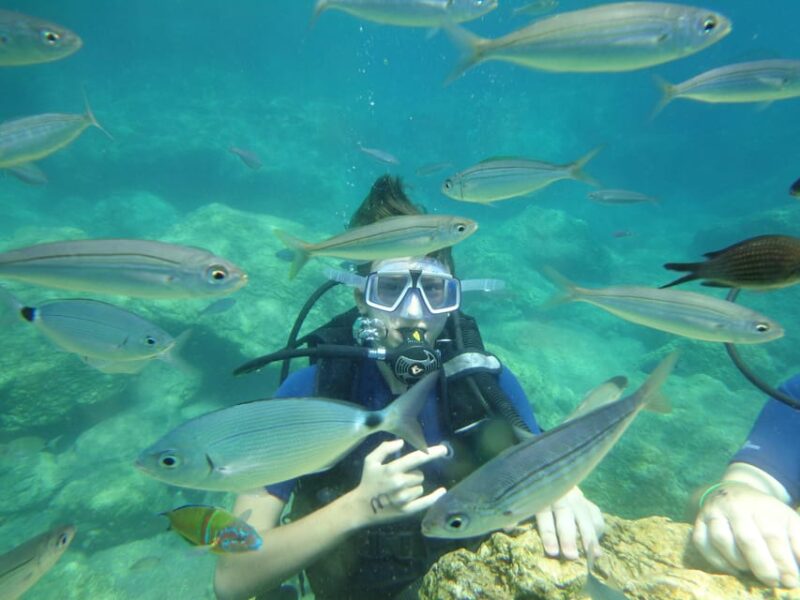 Icmeler: Scuba Diving With a Qualified Instructor - Included and Excluded