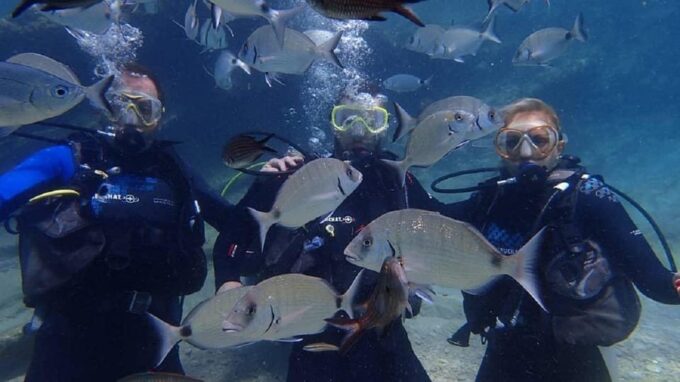 Icmeler: Scuba Diving With a Qualified Instructor - Important Considerations
