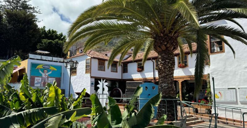 Icod De Los Vinos: Casa Del Plátano Entry Ticket - Key Points