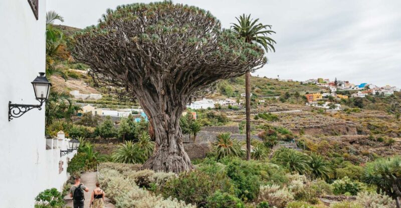 Icod De Los Vinos: Dragon Tree & Botanical Garden Ticket - Key Points