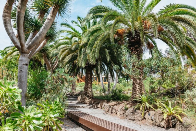 Icod De Los Vinos: Dragon Tree & Botanical Garden Ticket - Ticket Information and Inclusions