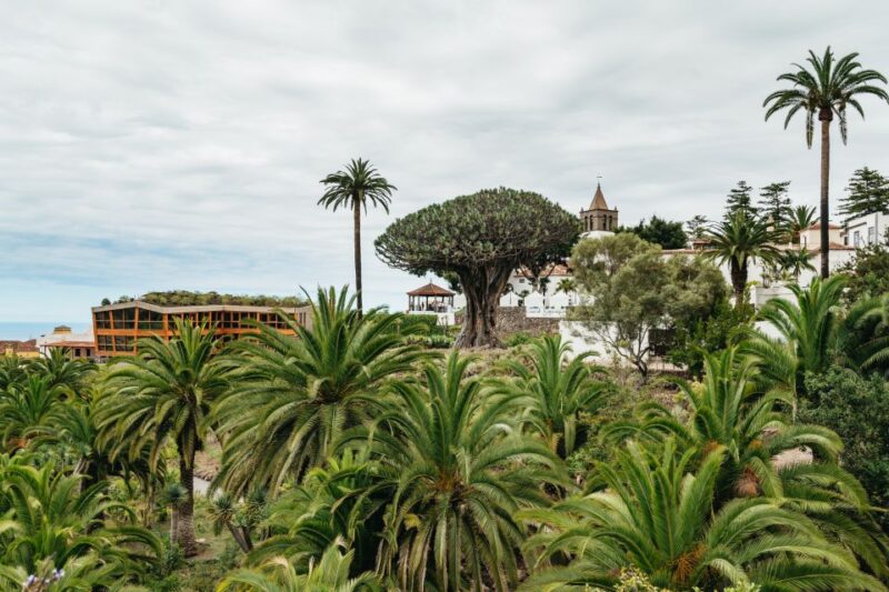 Icod De Los Vinos: Dragon Tree & Botanical Garden Ticket - Cancellation and Reservations
