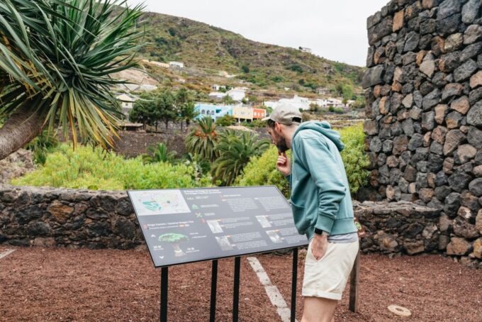 Icod De Los Vinos: Dragon Tree & Botanical Garden Ticket - Visitor Recommendations