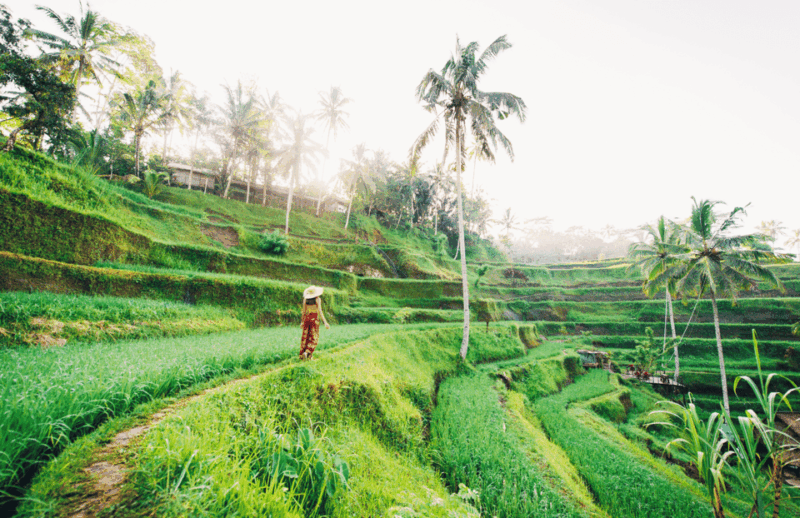 Iconic Bali Day Tour: Best Photo Spots and Experiences - Pricing Details
