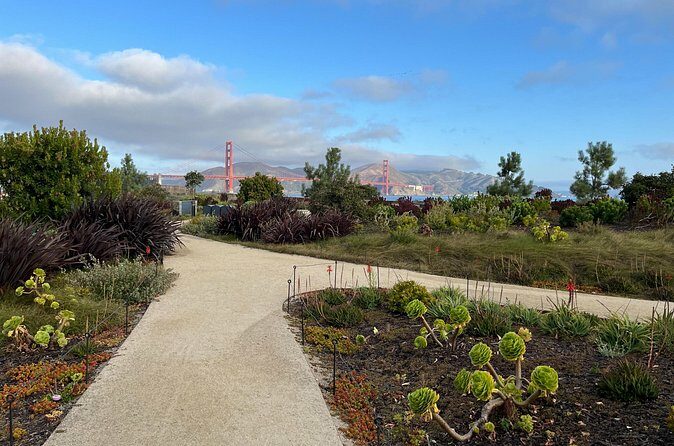 Iconic San Francisco Urban Hiking Tour - Authentic, Informative, and Active