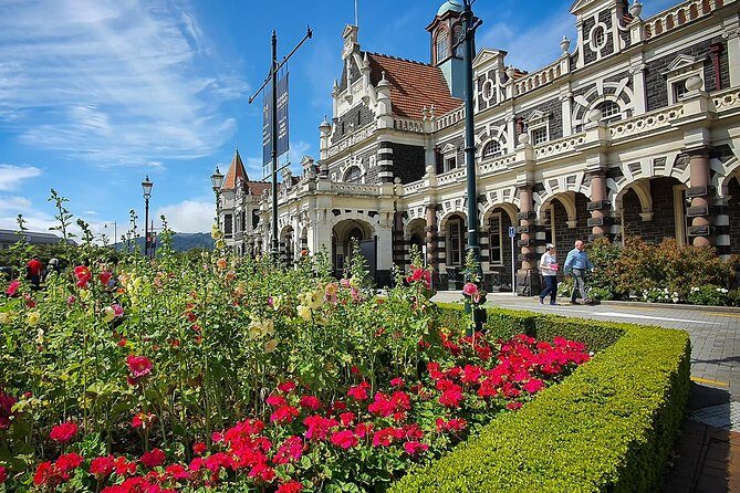 Iconic Shore Excursion: Dunedin City Highlights Tour - An Honest Breakdown of the Dunedin Highlights Tour