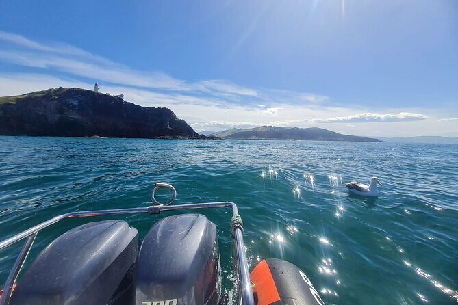 Iconic Shore Excursion: Dunedin City Highlights Tour - Who Will Love This Tour?