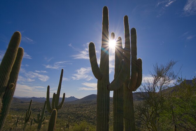 Iconic Toms Thumb Guided Hiking Adventure in Scottsdale, Arizona - Additional Details to Note