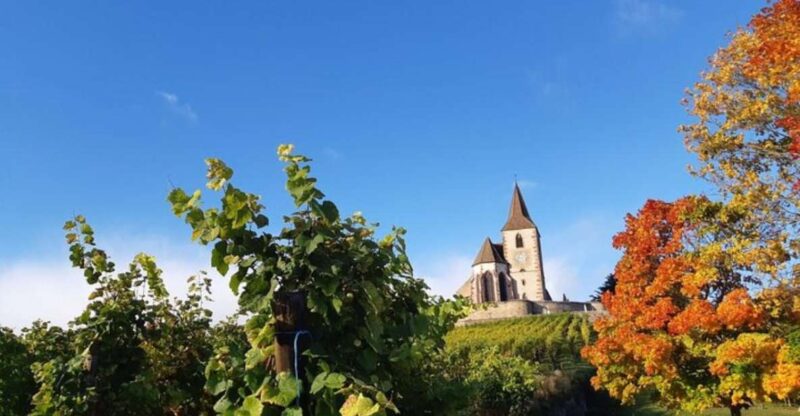 Iconic Villages and Haut-Koenigsbourg Castle - Discovering the Haut-Koenigsbourg Castle