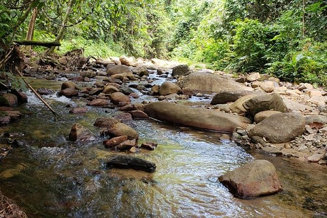 Iconic Waterfall Tour - Cultural Immersion in Fiji