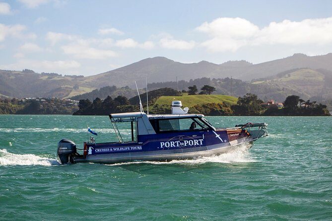 Iconic Wildlife Tour with Yellow Eyed Penguins & Royal Albatross - FAQs