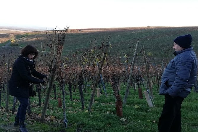 ICONICS Tour: Half-Day on the Wine Route, Visit of 2 Villages + Tasting. - Cancellation Policy