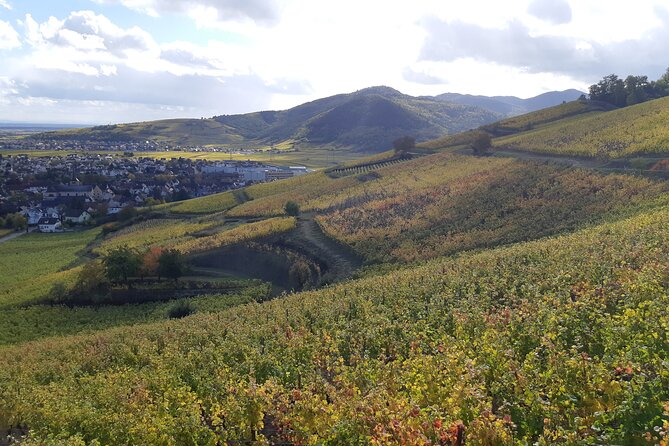 ICONICS Tour: Half-Day on the Wine Route, Visit of 2 Villages + Tasting. - Winery and Village Visits