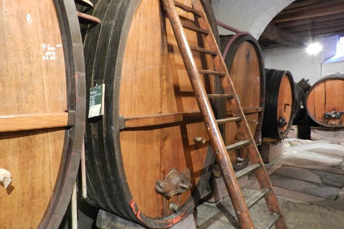 ICONICS Tour: Half-Day on the Wine Route, Visit of 2 Villages + Tasting. - About the Alsace Region