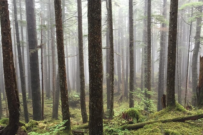 Icy Strait Village Tour and Crab Feast - Accessibility and Participation Details