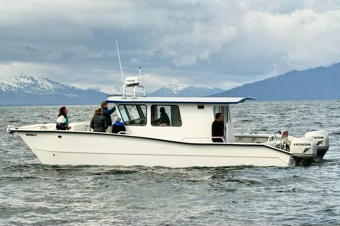 Icy Strait Whale & Wildlife Endeavor - Booking and Cancellation
