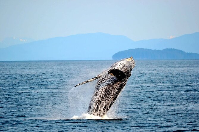 Icy Strait Whale & Wildlife Endeavor - Transportation and Accessibility