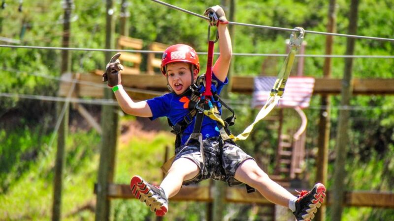 Idaho Springs: Clear Creek Ziplining Experience - Exhilarating Zipline Highlights
