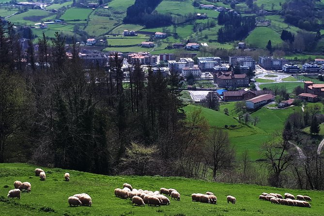 Idiazabal Cheese Tour From San Sebastian - Traveler Reviews