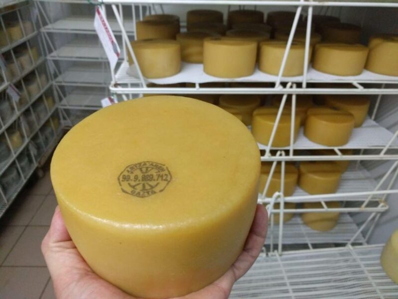 Idiazabal Cheese Tour From San Sebastian - Highlights of the Tour