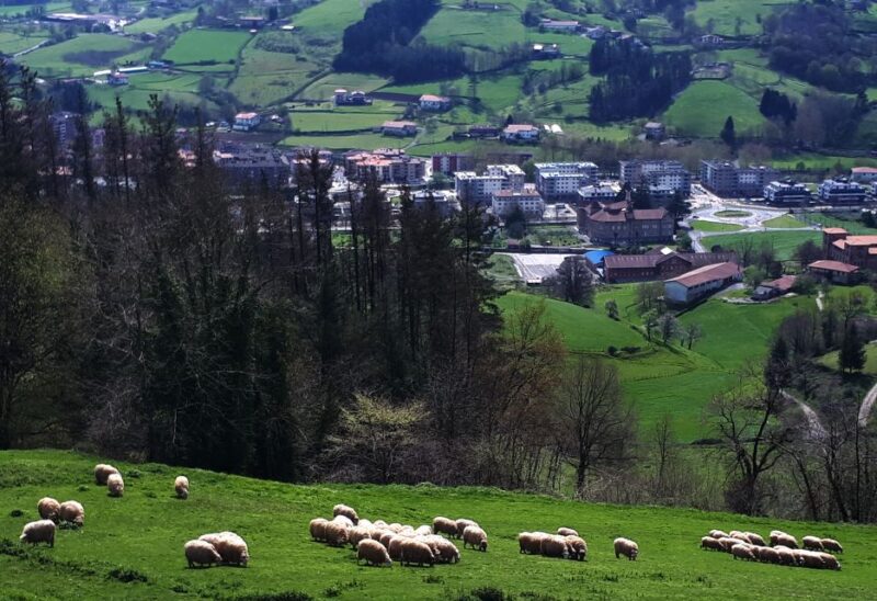 Idiazabal Cheese Tour From San Sebastian - Basque Country Highlands Exploration