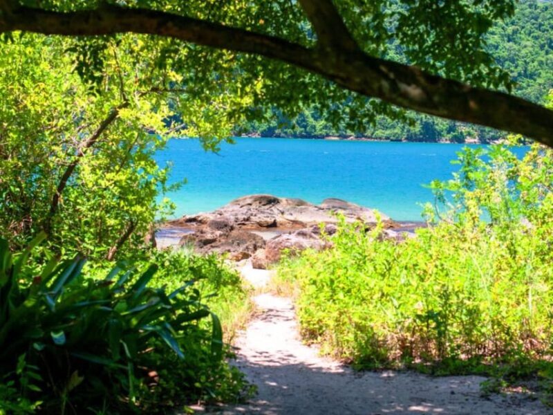 Idyllic Islands Private Speedboat Tour in Paraty - Boat Amenities