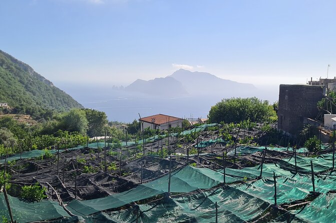 Ieranto Bay Hike and Swim - Amalfi & Sorrento Coast - - Confirmation and Cancellation Policy