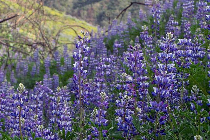 If You Hike, Bike, Rock Climb or Play Tennis, Trails by Potter Are Your Guides! - Unbeatable Outdoor Experience Reviews