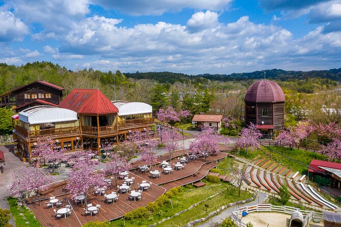 IGA the Birthplace of Ninja With Private Car & Driver (Max 9 Pax) - Cancellation Policy Explained