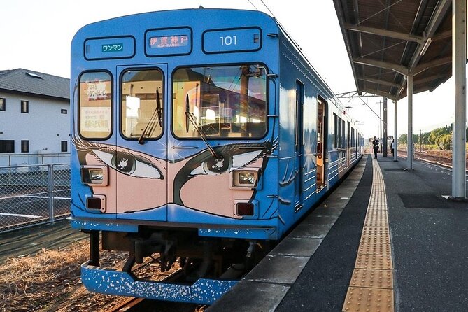 IGA the Birthplace of Ninja With Private Car & Driver (Max 9 Pax) - Flexible Itinerary and Transportation