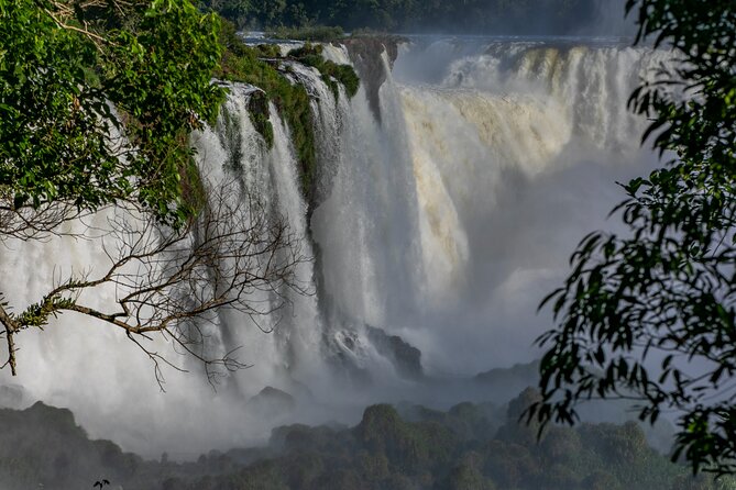 Iguassu Falls Brazilian Side & Bird Park & Macuco - Exclusive Gran Meliá Iguazú - Accessibility and Health