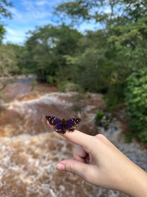 Iguassu Falls From the Argentinean Side: a Walking Tour - Marveling at the Waterfalls
