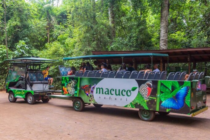 Iguassu Falls: Guided Tour & Macuco Safari on Pontoon Boats - Wildlife Observation