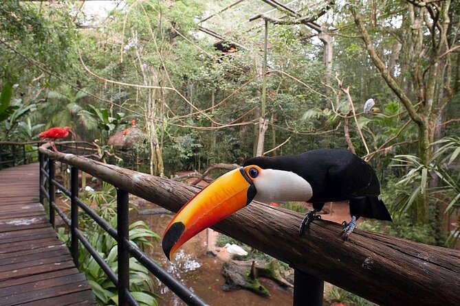Iguassu Falls Private Tours - Accessibility and Additional Information