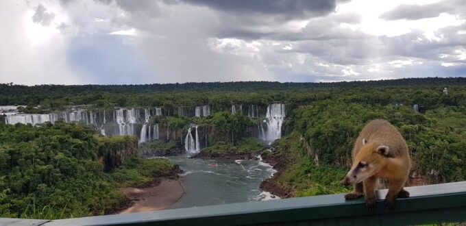Iguassu Total Experience - Iguazu National Park (Argentina)